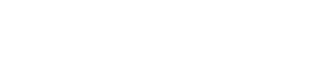 WZS